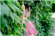 公主保护计划