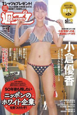 李小龙传奇50集电视剧全集免费观看